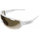 gafas POC HALF BLADE 2020